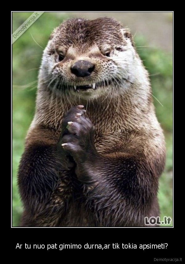Ar tu nuo pat gimimo durna,ar tik tokia apsimeti?
