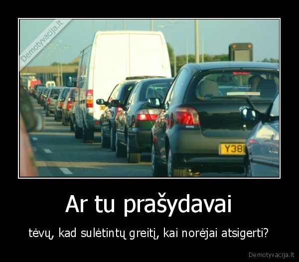 keiciu, chimcar, 36, lvl., i, zigzagoon, 56, lvl