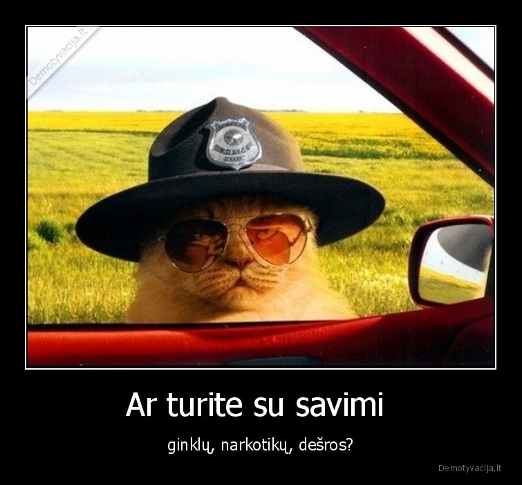 katinas,serifas,policininkas