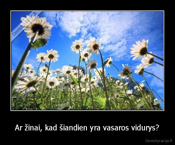 vasaos,vidurys,o, tu,vis,dar,nolifini,prie,pc