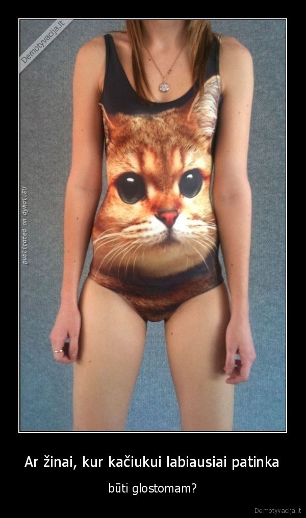 Ar žinai, kur kačiukui labiausiai patinka