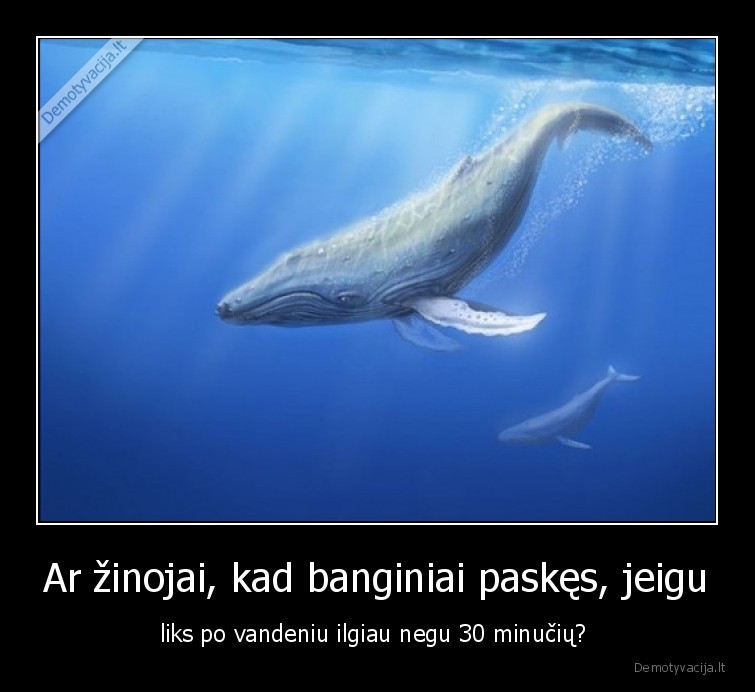 banginiai,skesta,negali,be, oro