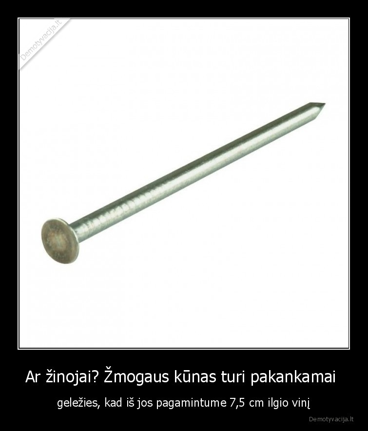 ar, zinojai,vinis,gelezis,zmogaus,kunas