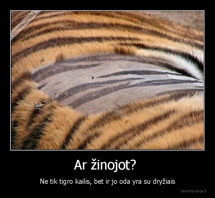 tigras,faktas,dryziai,kailis,oda