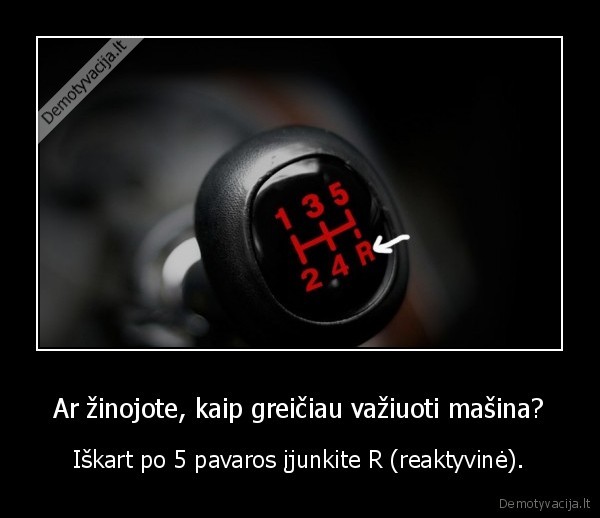 pavaros,masina,greitis,reaktyvine