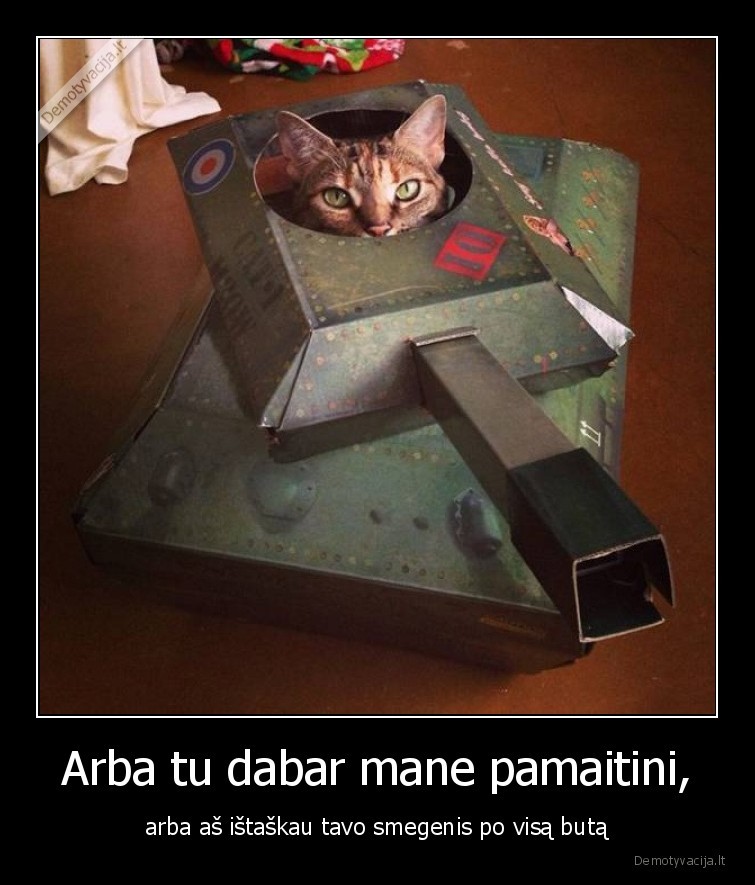 tankas,katinas,grasina,maitink