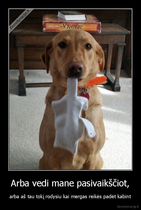Arba vedi mane pasivaikščiot,