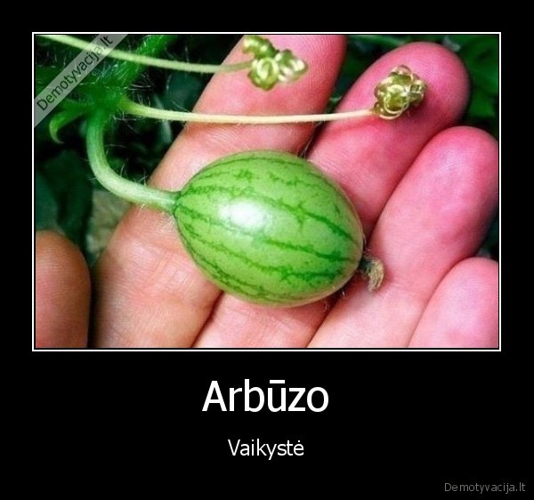 arbuzas,vaikyste,vaikiskas