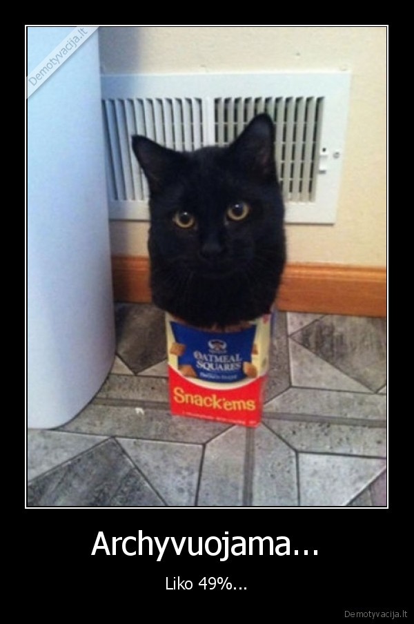 archyvas,rarinimas,katinas, dezeje