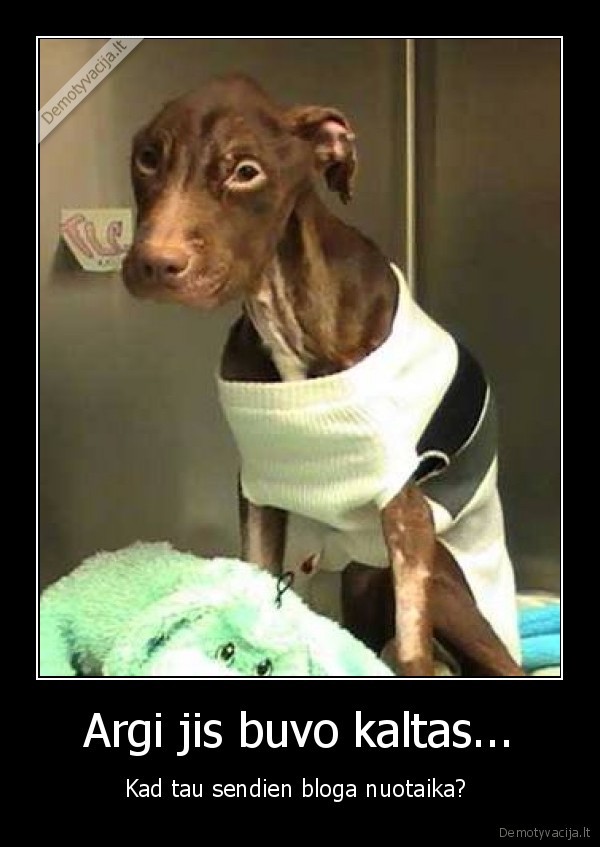 Argi jis buvo kaltas...