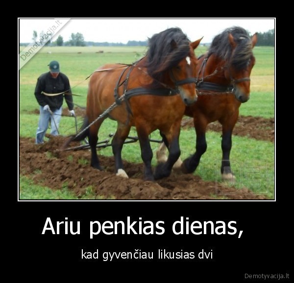 Ariu penkias dienas, 