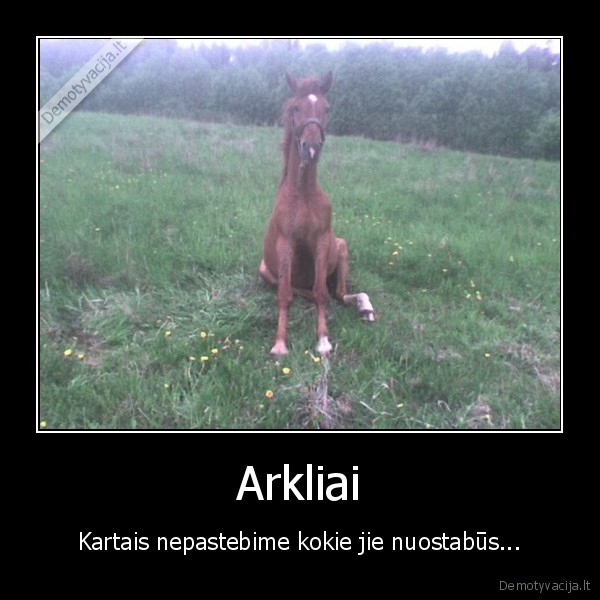 Arkliai