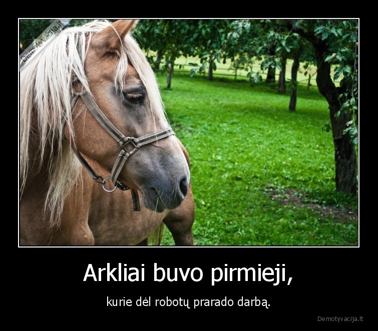 arkliai,robotai,darbas