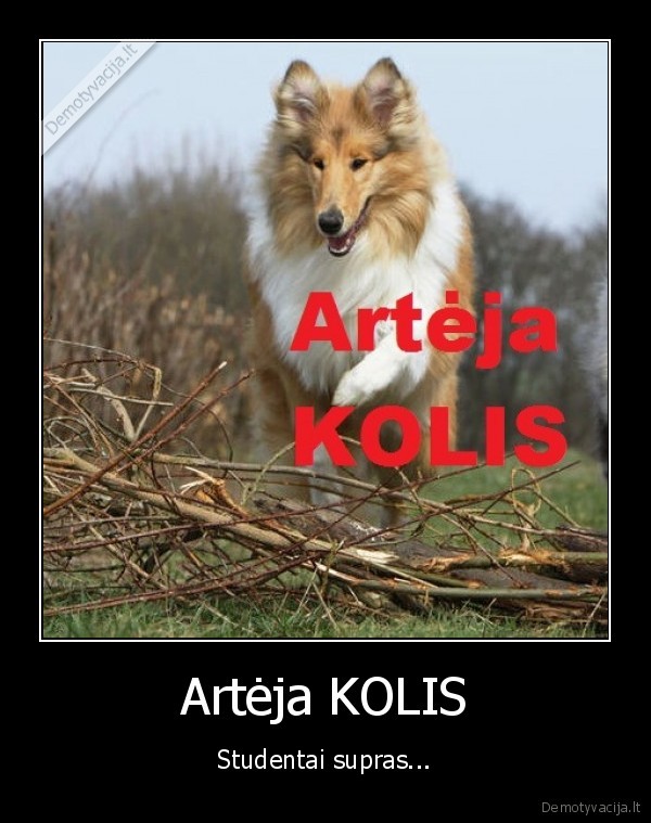 studentas,mokslai,studijos,kolis,egzaminas,arteja