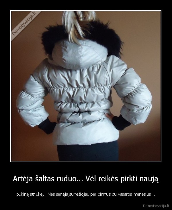 saltis,salti, orai,striuke