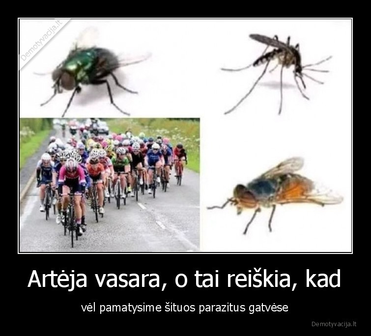 parazitai,vasara,dviratininkai