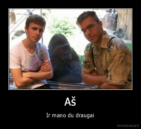 bezdzionesnukiai,as,draugai,draugai,draugyste,nuotrauka,sypsena,zoo,sypt