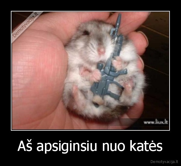 Aš apsiginsiu nuo katės