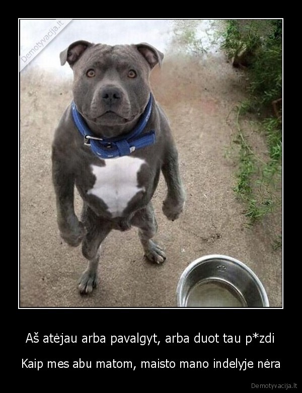 piktas, suo,duos, pizdi