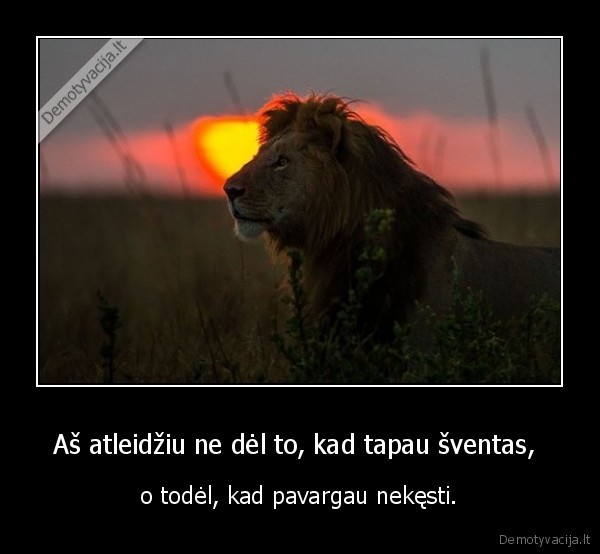 paulo, coelho, fraze, tiesa