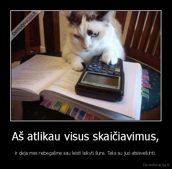 Aš atlikau visus skaičiavimus,