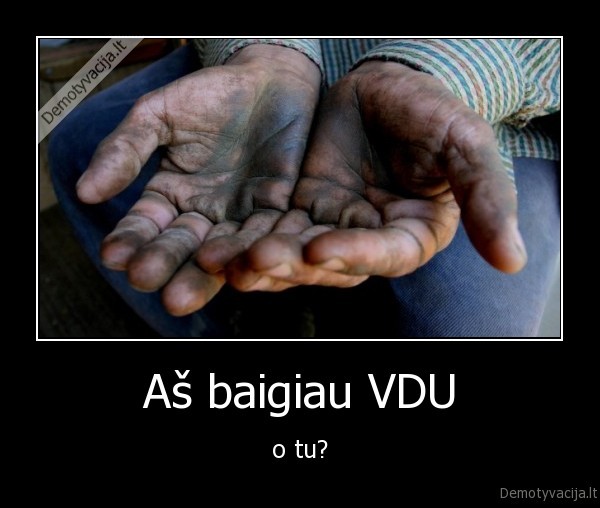 Aš baigiau VDU