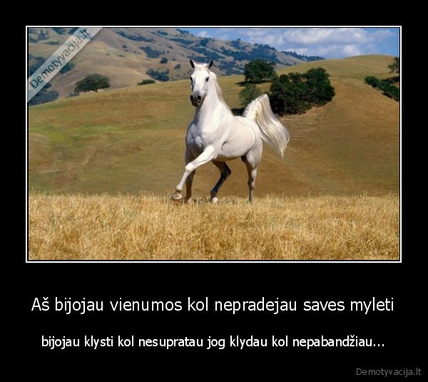 Aš bijojau vienumos kol nepradejau saves myleti