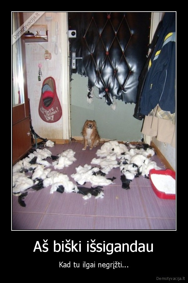 suo,issigandes, suo,prisidirbo