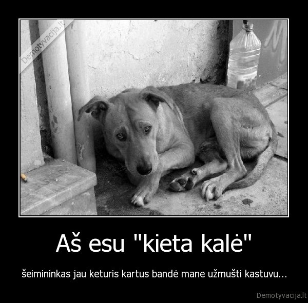 smurtas, pries, gyvunus,benamiai, gyvunai