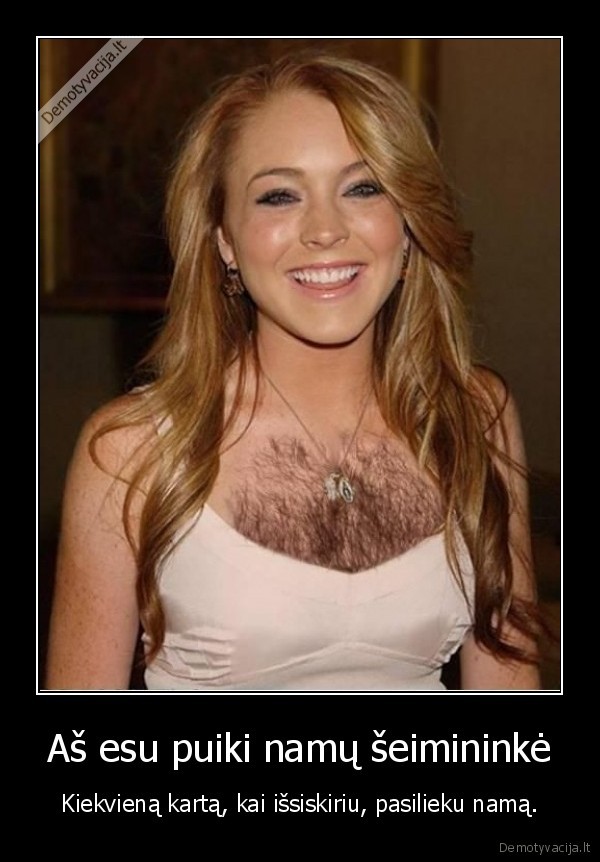 Aš esu puiki namų šeimininkė