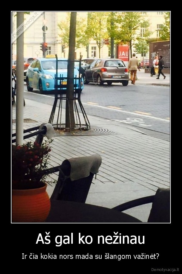 degaline,degalines, slanga