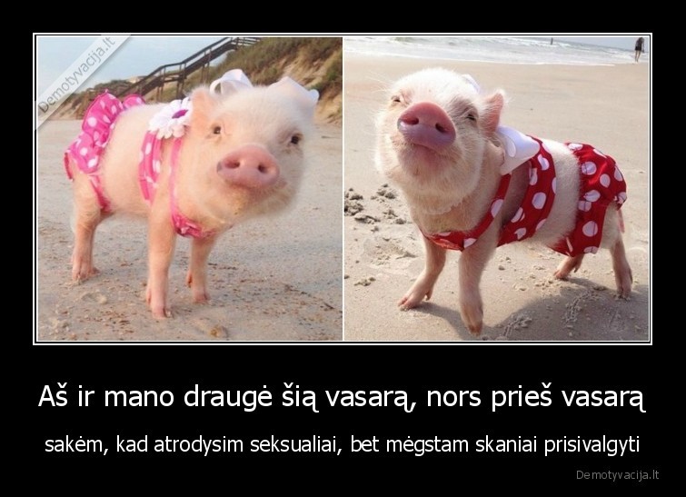 drauges,maistas,junk, food,merginos,tikimybe,realybe,vasara,kunas