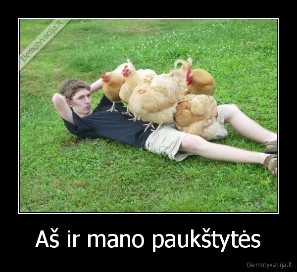 Aš ir mano paukštytės