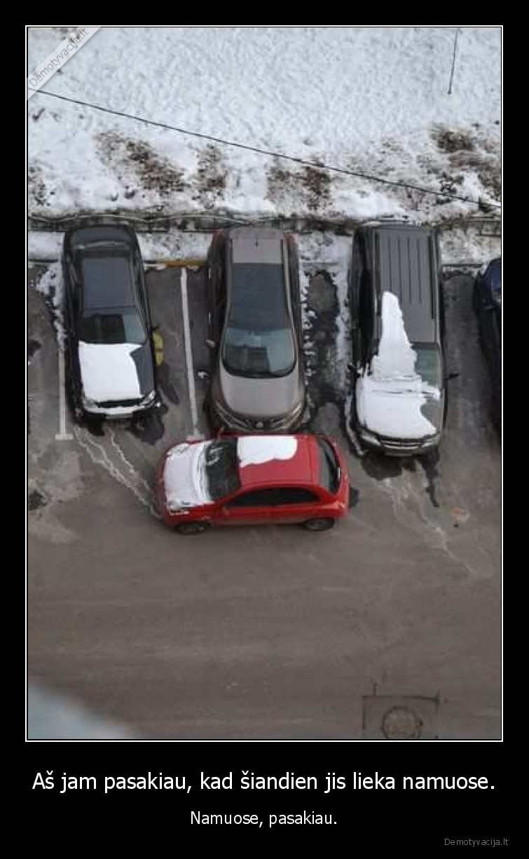 lieka,namuose,vyras,moteris,parkuotis