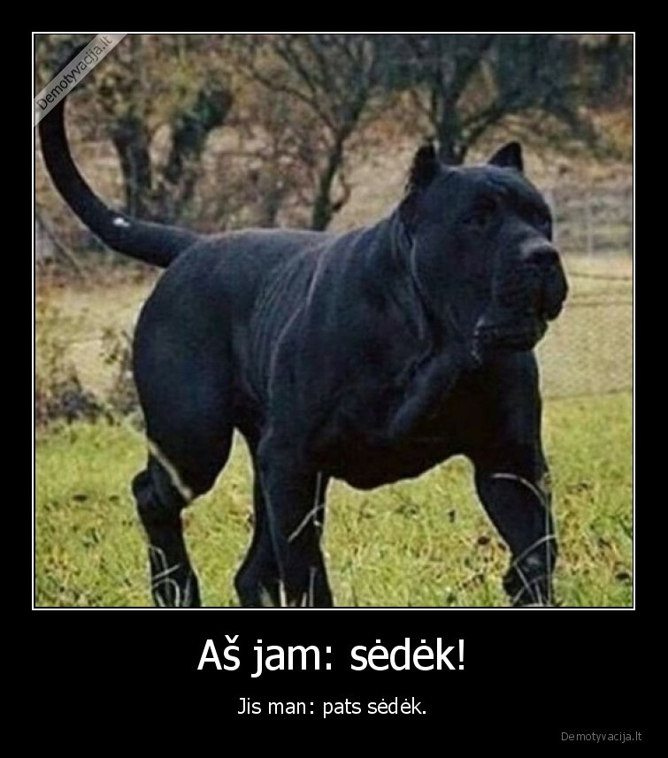 ok,suo,didelis,sedek