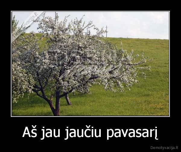 pavasaris