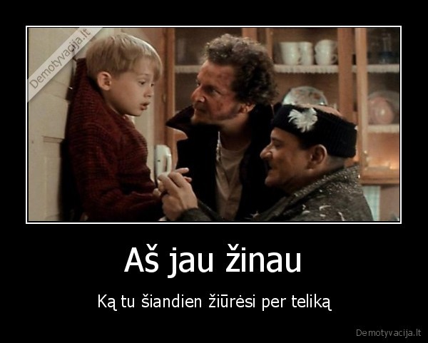 vienas, namuose,home, alone