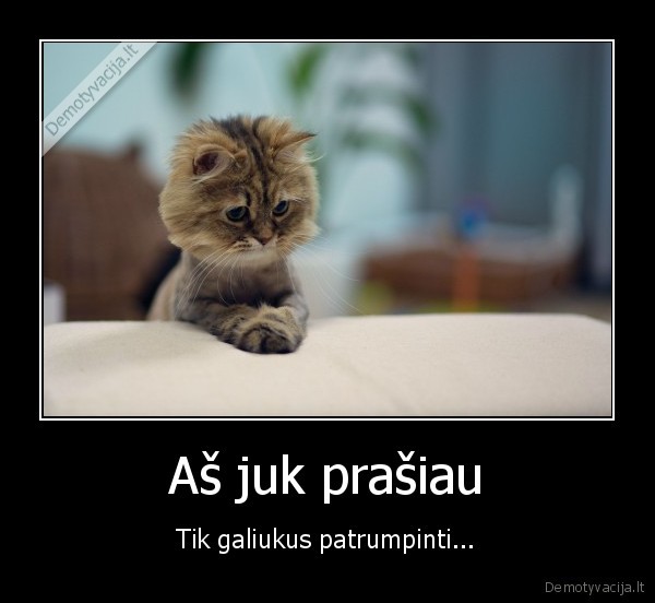 po, kirpyklos,liudnas, kaciukas,galiuku, trumpinimas