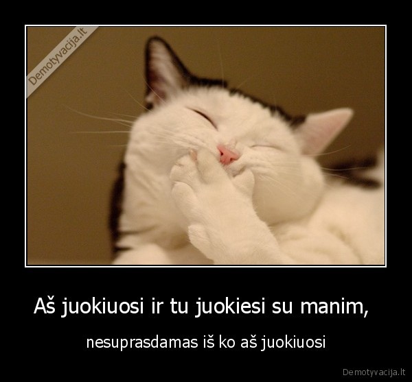 sudetinga, blablabla