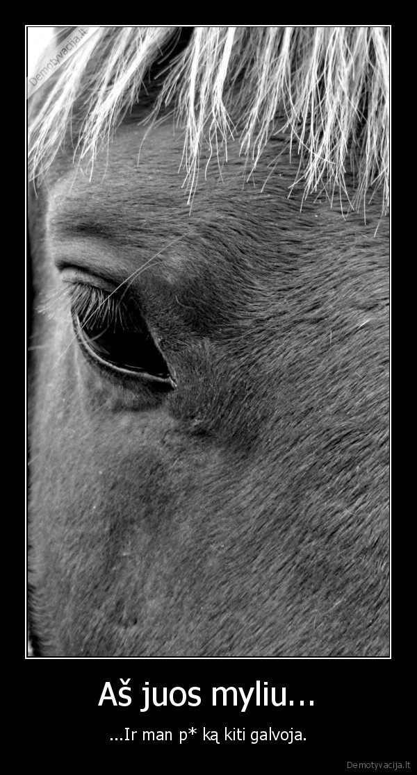 arkliai,meile,poniai