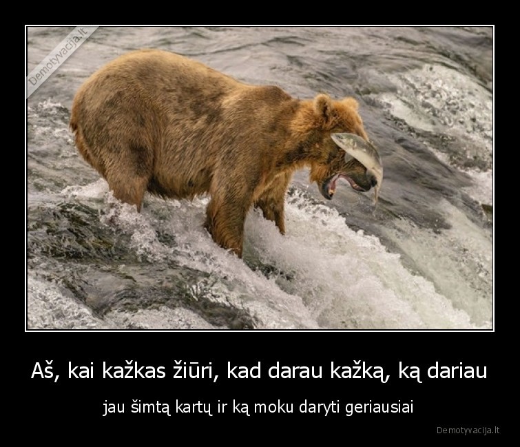 meska,gaudo,zuvi,zuvis