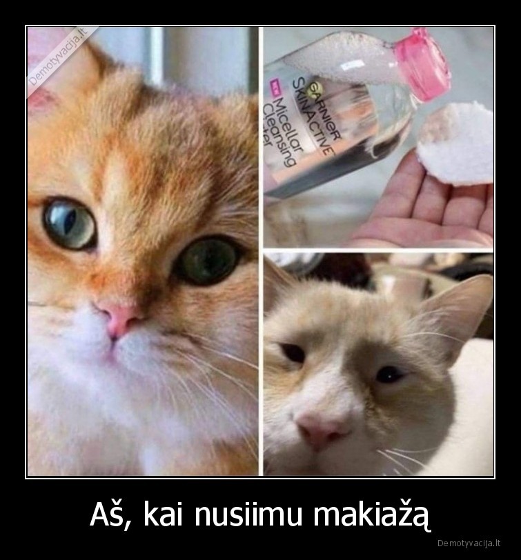 makiazas,make, up,mergina,katinas