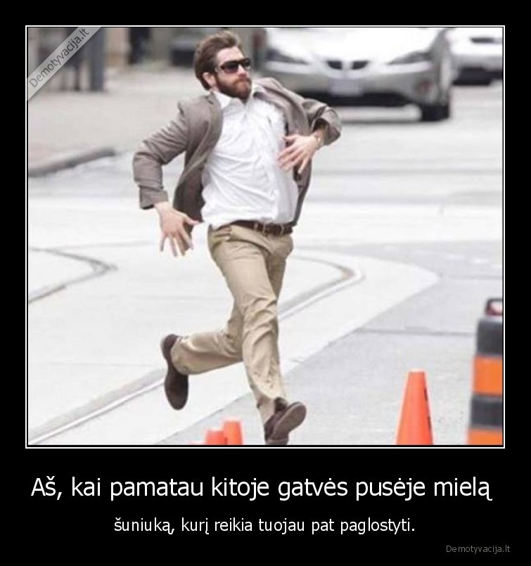 suniukas,mielas,glostymas,gatve