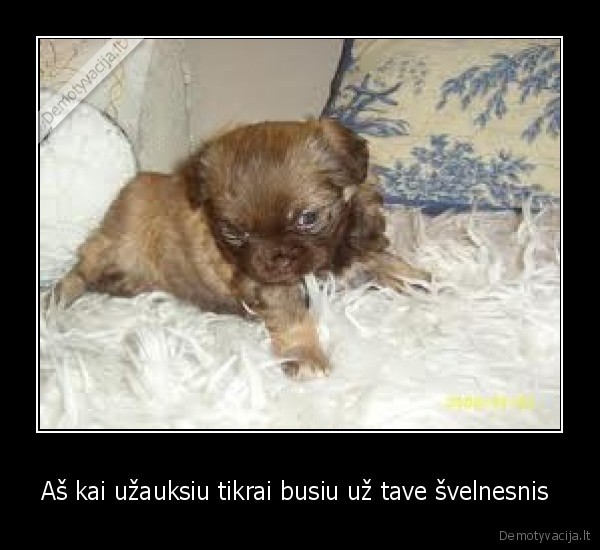 Aš kai užauksiu tikrai busiu už tave švelnesnis 