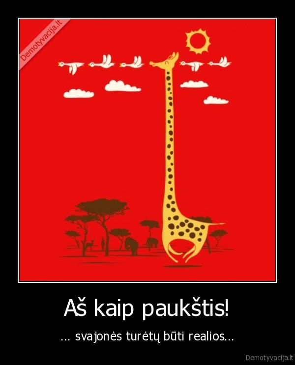 zirafa,skristi, i, pietus,skrendantys, pauksciai