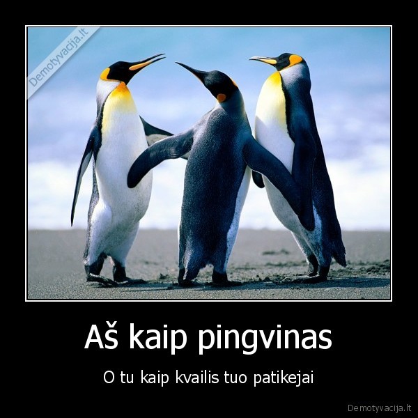 pingvinai