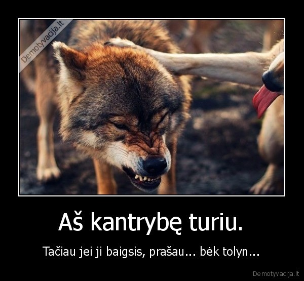 kantrybe,o, kiek, gi, galima, ant, galvos, lipt