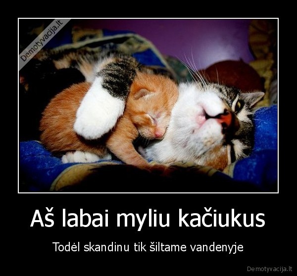 juodas, humoras,mazi, kaciukai