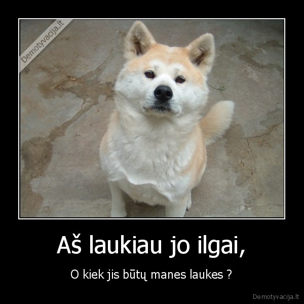 Aš laukiau jo ilgai,