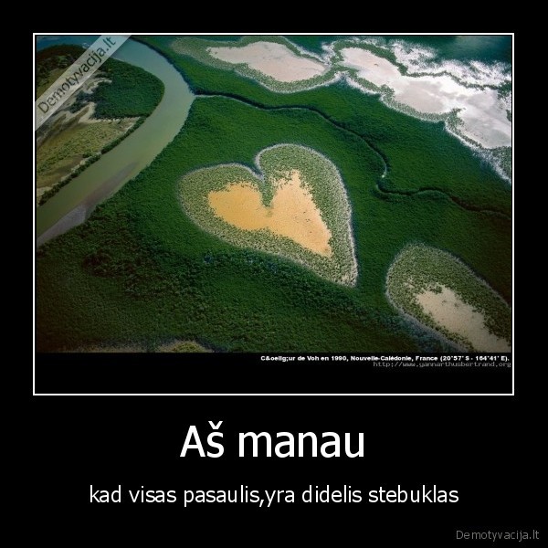 o,i,ji,ieina,7,stebuklai